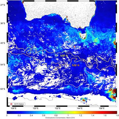 Microbial Competition in the Subpolar Southern Ocean: An Fe–C Co-limitation Experiment